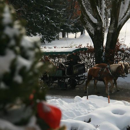 Pension Wolfgangsee Sankt Wolfgang im Salzkammergut Ngoại thất bức ảnh